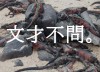 fbトップ　文才不問 新
